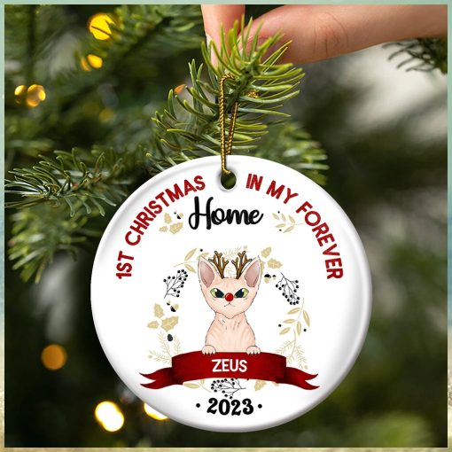 Gift For Cat Owners Personalized Circle Ceramic Ornament