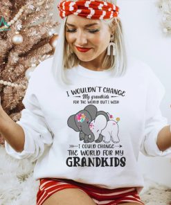 I Wouldn't Change My Grandkids For The World Buti Wish Shirt, hoodie, sweater, long sleeve and tank top I Wouldn't Change My Grandkids For The World Buti Wish Shirt