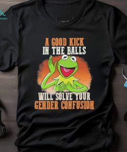 Official A Good Kick In The Balls Will Solve Your Gender Confusion Shirt