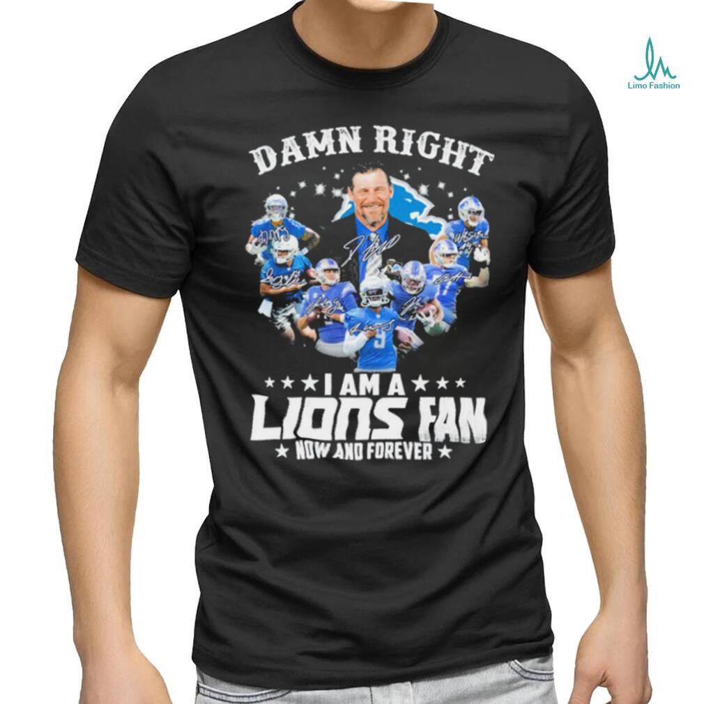 SALE !!! Detroit Lions Detroit Villains Funny T shirt For Fan Men S-3XL