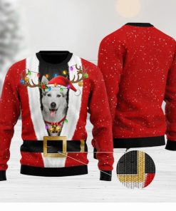 San Francisco 49ers Dog Family Holiday Ugly Sweater, Size: L