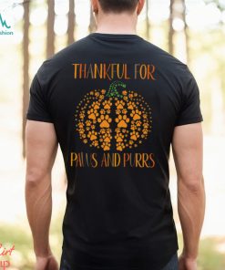 Thankful For Paws And Purrs Thanksgiving Cat Classic T Shirt