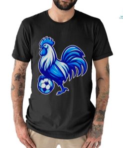 Tottenham Hotspur soccer shirt