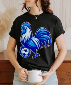 Tottenham Hotspur soccer shirt