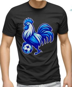 Tottenham Hotspur soccer shirt
