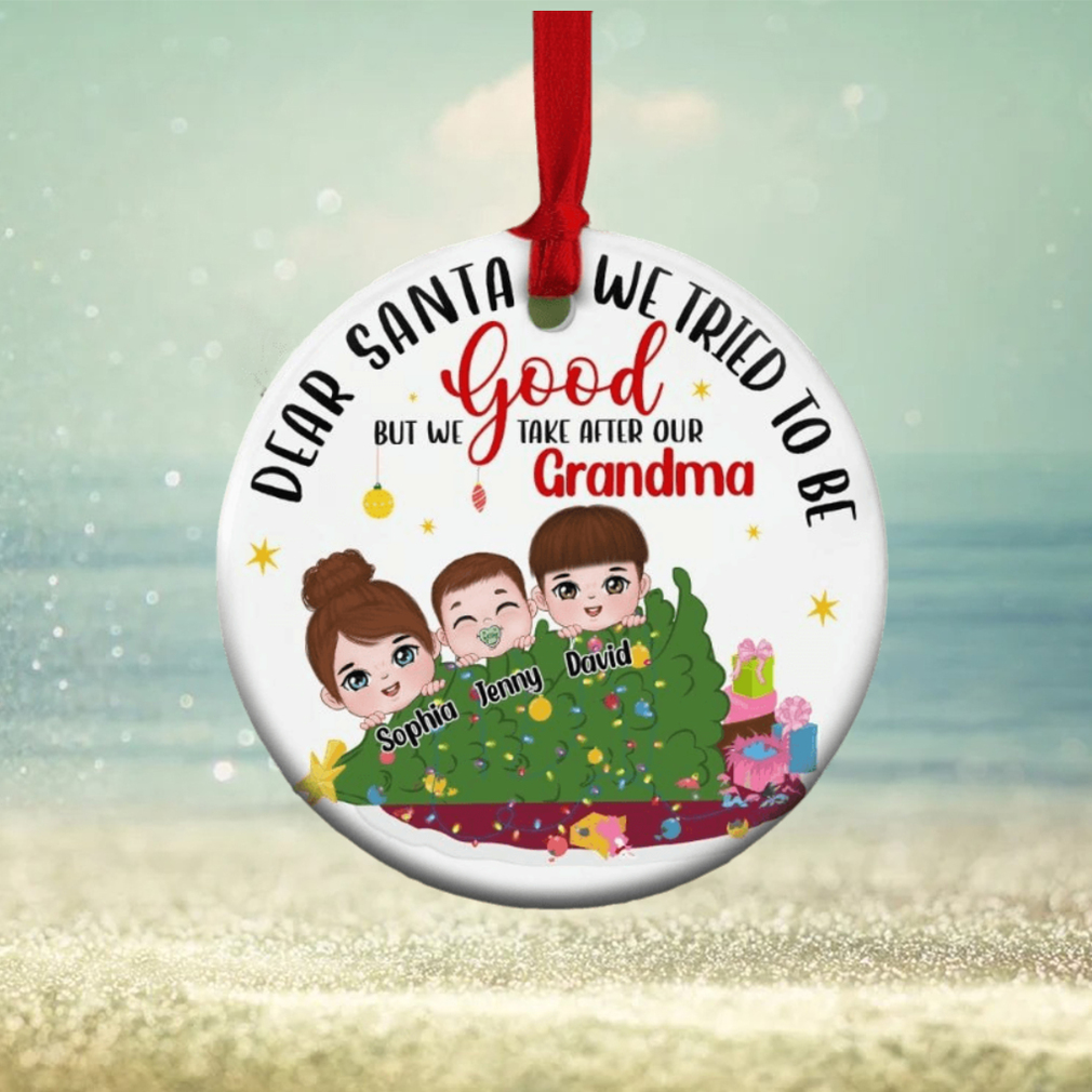 We Take After Our Grandma Personalized Funny Grandkids Ornament, Christmas Gift For Grandma We Take After Our Grandma Personalized Funny Grandkids Ornament, Christmas Gift For Grandma