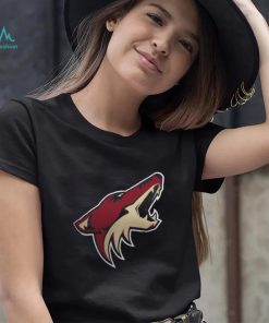 Women's Arizona Coyotes Fanatics Branded Black Primary Logo Pullover Sweatshirt
