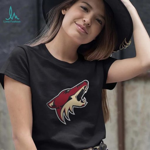 Women’s Arizona Coyotes Fanatics Branded Black Primary Logo Pullover Sweatshirt