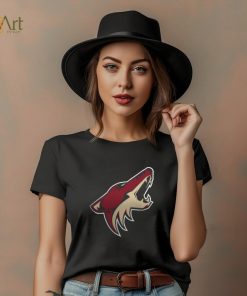 Women's Arizona Coyotes Fanatics Branded Black Primary Logo Pullover Sweatshirt