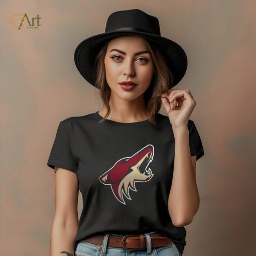 Women’s Arizona Coyotes Fanatics Branded Black Primary Logo Pullover Sweatshirt