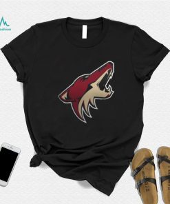 Women's Arizona Coyotes Fanatics Branded Black Primary Logo Pullover Sweatshirt