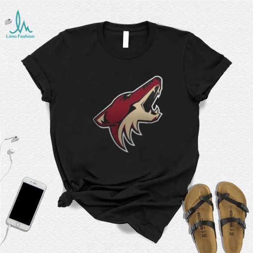 Women’s Arizona Coyotes Fanatics Branded Black Primary Logo Pullover Sweatshirt