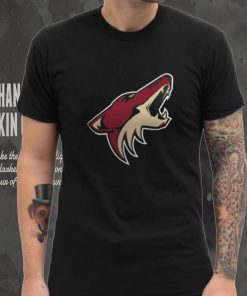 Women's Arizona Coyotes Fanatics Branded Black Primary Logo Pullover Sweatshirt