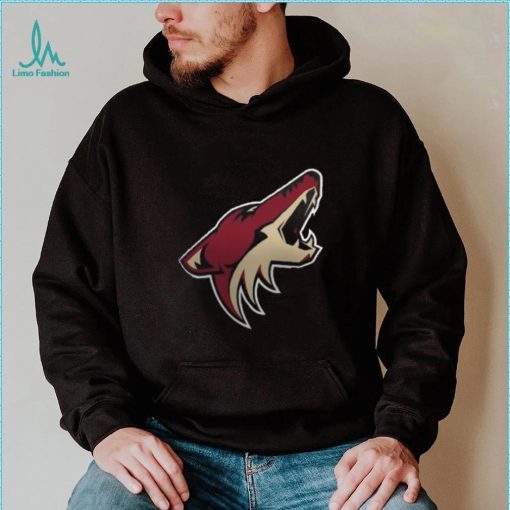 Women’s Arizona Coyotes Fanatics Branded Black Primary Logo Pullover Sweatshirt