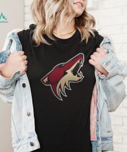 Women's Arizona Coyotes Fanatics Branded Black Primary Logo Pullover Sweatshirt