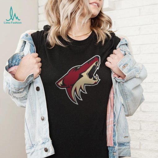 Women’s Arizona Coyotes Fanatics Branded Black Primary Logo Pullover Sweatshirt