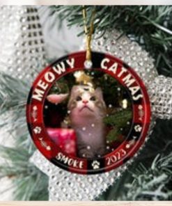 custom cat images