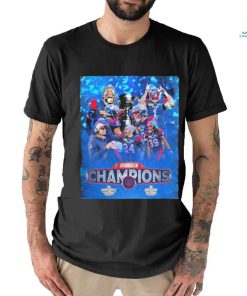 Alouettes Montréal 2023 Champions Grey Cup Poster Shirt