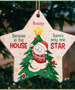 Cat Is Only One Star In This House Cat Personalized Custom Ornament Wood Custom Shaped Christmas Gift For Pet Owners, Pet Lovers