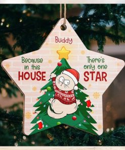 Cat Is Only One Star In This House Cat Personalized Custom Ornament Wood Custom Shaped Christmas Gift For Pet Owners, Pet Lovers