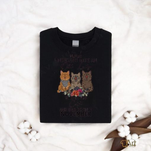 Cat   old lady November Hooded shirt
