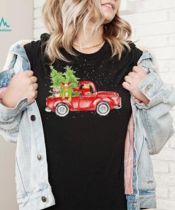 Cats Hat Santa Scarf Car Tree Christmas Shirt