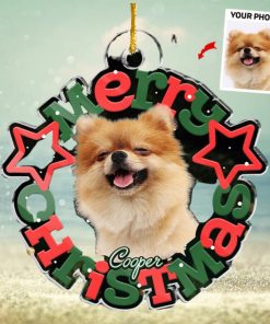 Custom Photo Official Cookie Tester   Dog & Cat Personalized Custom Ornament