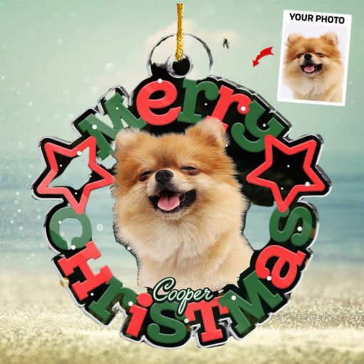 Custom Photo Official Cookie Tester   Dog & Cat Personalized Custom Ornament