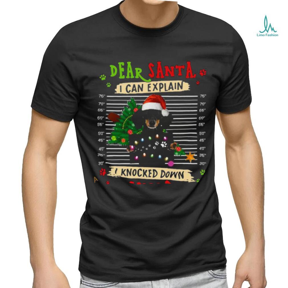 Dachshund Xmas Explanation Shirt Dachshund Xmas Explanation Shirt
