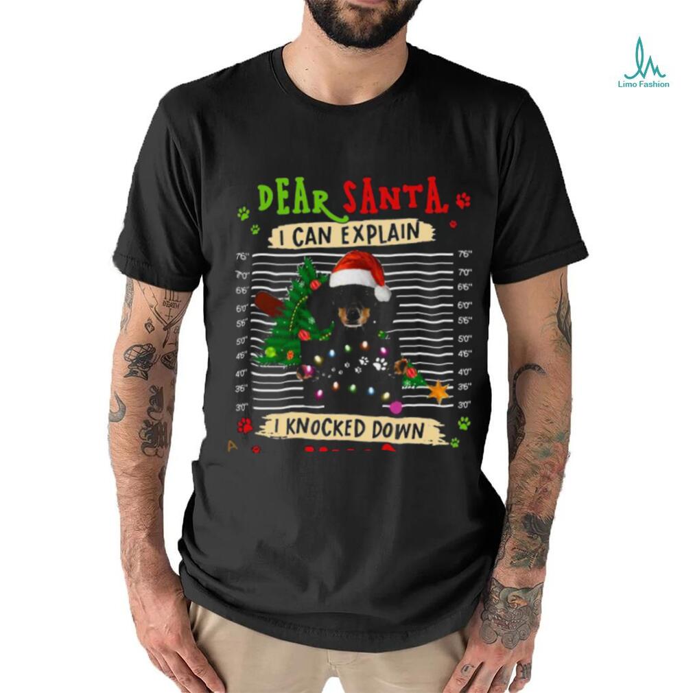 Dachshund Xmas Explanation Shirt Dachshund Xmas Explanation Shirt