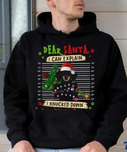 Dachshund Xmas Explanation Shirt, hoodie, sweater, long sleeve and tank top Dachshund Xmas Explanation Shirt