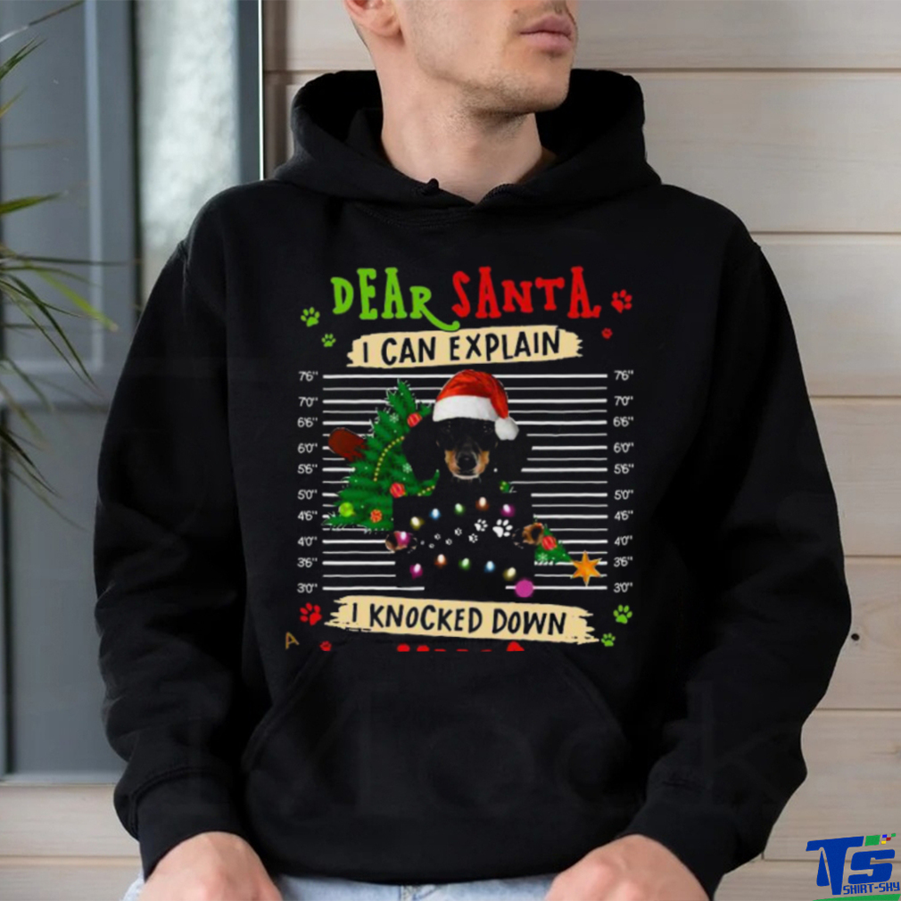 Dachshund Xmas Explanation Shirt Dachshund Xmas Explanation Shirt