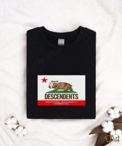 Descendents Punk In The Park Orange County California Nov 5, 2023 poster shirt