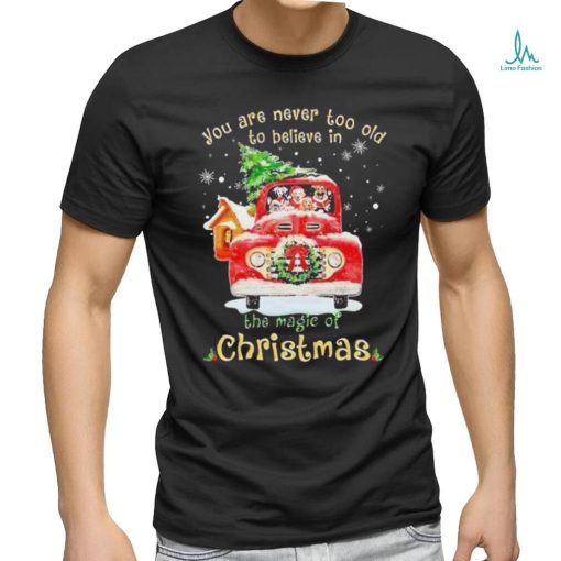 Dogs you are never too old to believe in Believe In The Magic Of Christmas shirt