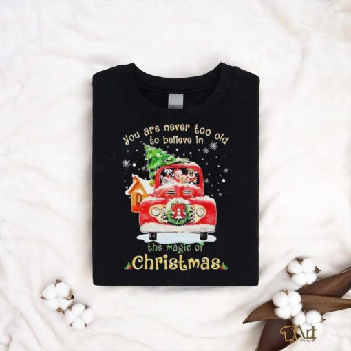 Dogs you are never too old to believe in Believe In The Magic Of Christmas shirt