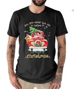 Dogs you are never too old to believe in Believe In The Magic Of Christmas shirt