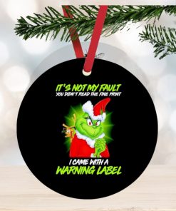 Grinch Santa it’s not my fault you didn’t read the fine print I came with a warning label ornament