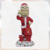 Hairy Dawg Georgia Bulldogs Mascot Bank Bobblehead Ornament