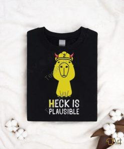 Heck Is Plausible 2023 Tee Shirt