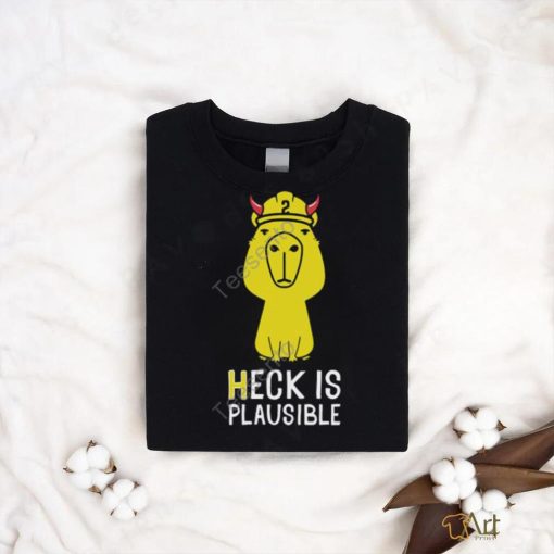 Heck Is Plausible 2023 Tee Shirt