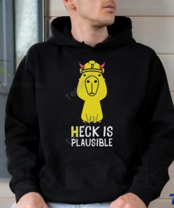 Heck Is Plausible 2023 Tee Shirt