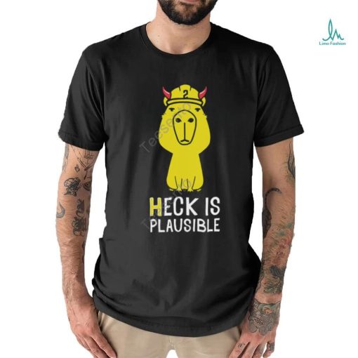 Heck Is Plausible 2023 Tee Shirt