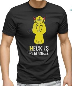 Heck Is Plausible 2023 Tee Shirt