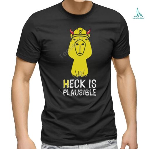 Heck Is Plausible 2023 Tee Shirt