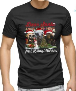 Horse Santa Hat Xmas Shirt