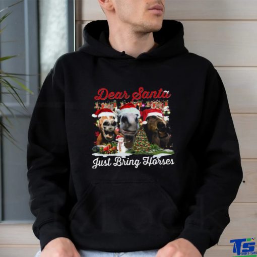 Horse Santa Hat Xmas Shirt