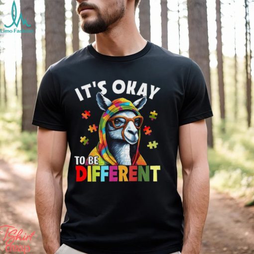 It’s Okay To Be Different Shirt