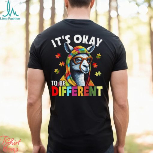 It’s Okay To Be Different Shirt