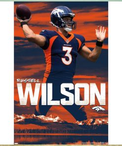 NFL Denver Broncos Poster