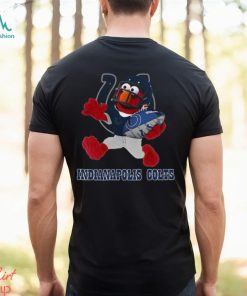 NFL Indianapolis Colts T Shirt Nfl Tshirt For Fans